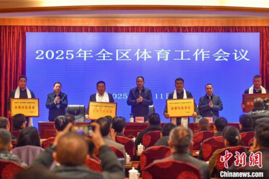 YY易游体育：2024年西藏落实项目资金497亿元加强群众健身场地建设(图1)